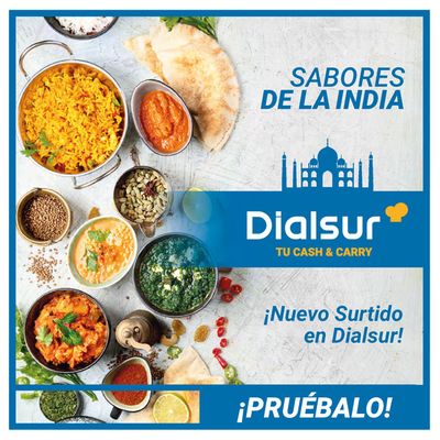 Catálogo Dialsur Cash & Carry en Alicante | Sabores de la India | 15/11/2023 - 31/12/2023