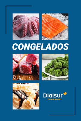 Catálogo Dialsur Cash & Carry en Alicante | Catálogo de congelados | 15/11/2023 - 31/12/2023
