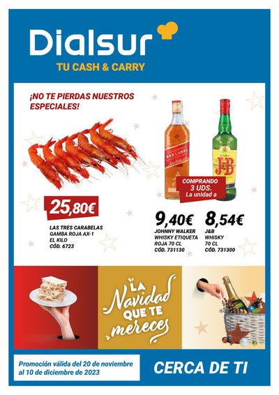 Catálogo Dialsur Cash & Carry en Torrevieja | Promoción válida del 20 de noviembre al 10 de diciembre de 2023 | 21/11/2023 - 10/12/2023