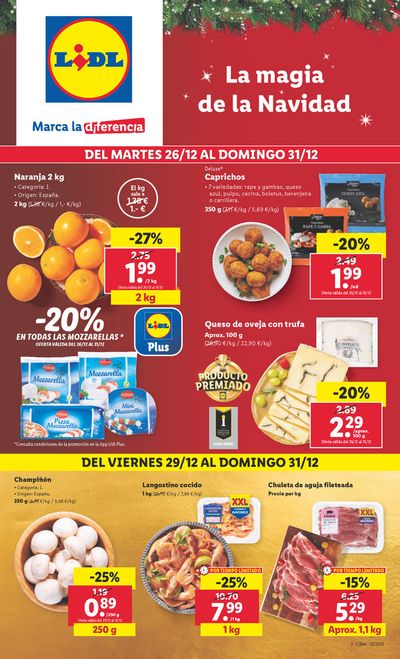 Catalogo 2025 lidl navidad