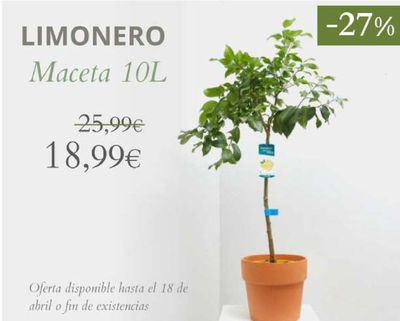 Catálogo Verdecora en Alcobendas | Oferta disponible hasta el 18 de abril | 20/3/2024 - 18/4/2024