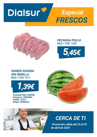 Catálogo Dialsur Cash & Carry en Alicante | Promoción válida del 23 al 29 de abril de 2024 | 24/4/2024 - 29/4/2024