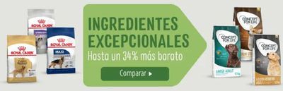 Ofertas de Hiper-Supermercados en Hermigua | Hasta un 34% más barato de Zooplus | 7/5/2024 - 19/5/2024