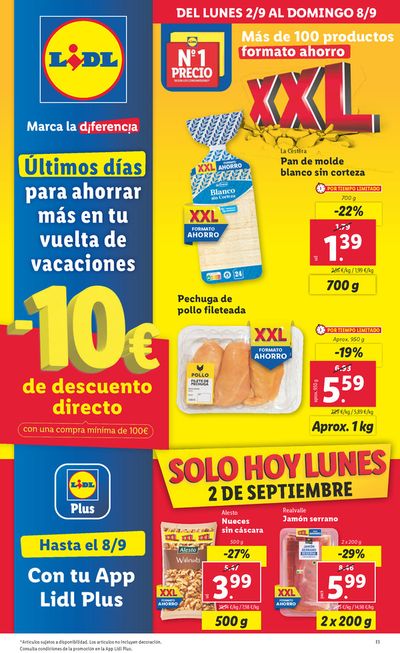 Catálogo Lidl | Más de 100 productos en formato ahorro | 2/9/2024 - 8/9/2024