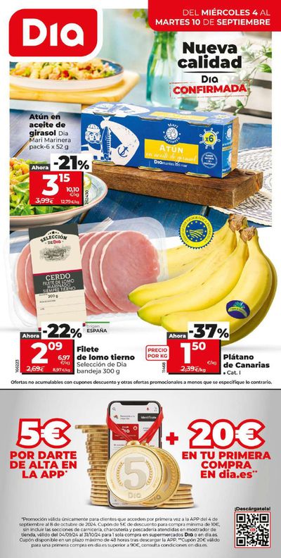 Catálogo Dia en Noja | Ofertas Día del 4 al 10 de septiembre | 4/9/2024 - 10/9/2024