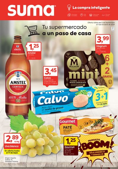 Catálogo Suma Supermercados en Torres de Berrellén | Oferta válida del 11 de Septiembre al 1 de Octubre de 2024 | 11/9/2024 - 1/10/2024