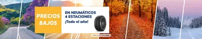 Catálogo Norauto en Almería | Precios bajos | 22/10/2024 - 31/10/2024