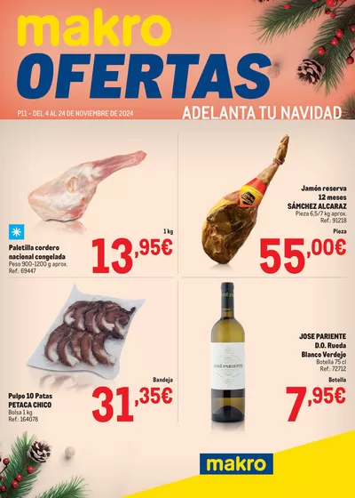 Catálogo Makro en Vitoria | Makro Ofertas Especial Norte II | 5/11/2024 - 24/11/2024