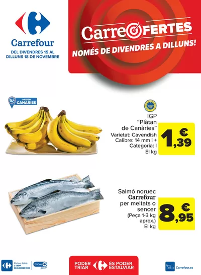 Catálogo Carrefour en Vic |  CARREOFERTAS | 15/11/2024 - 18/11/2024