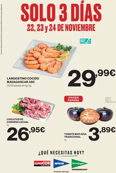 Catálogo El Corte Inglés en A Coruña | SOLO 3 DÍAS | 22/11/2024 - 24/11/2024