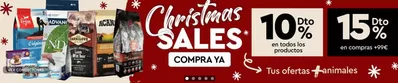 Catálogo Petuluku en Majadahonda | Christmas Sales | 9/12/2024 - 23/12/2024