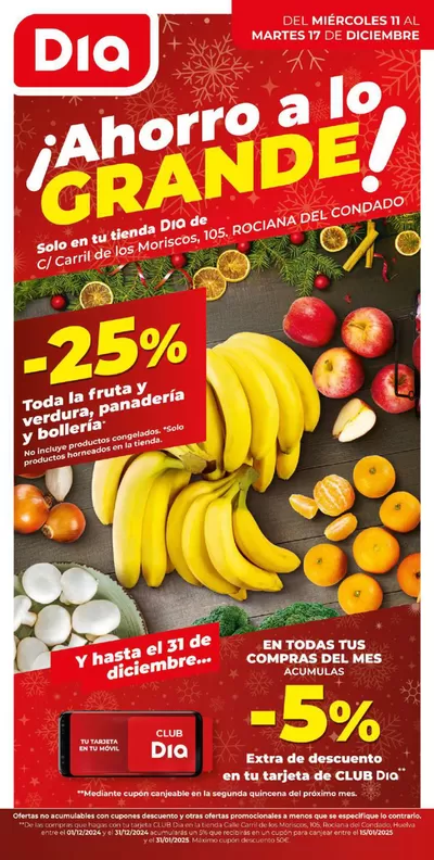 Catálogo Dia en Rociana del Condado | Ahorro a lo grande del 11 al 17 de diciembre | 11/12/2024 - 17/12/2024