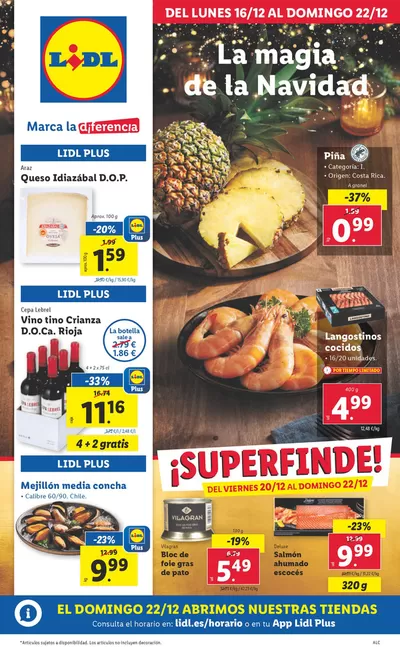 Catálogo Lidl en Aravaca | № 1 PRECIO | 16/12/2024 - 22/12/2024