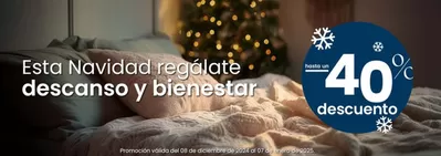 Catálogo Flex Noctalia en Salamanca | Hasta un -40% descuento | 11/12/2024 - 7/1/2025