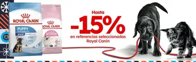 Catálogo Miscota en Alaquàs | Hasta -15% en Royal Canin | 13/12/2024 - 24/12/2024