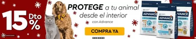 Ofertas de Navidad en Roda de Andalucía | 15% dto. de Pet clic | 18/12/2024 - 31/12/2024