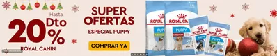 Ofertas de Salud y Ópticas en Arroyomolinos | 20% dto Royal Canin de Petuluku | 24/12/2024 - 31/12/2024