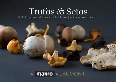 Catálogo Makro en Valencia | GUIA DE TRUFAS Y SETAS MAKRO - MAKRO | 31/12/2024 - 14/1/2025