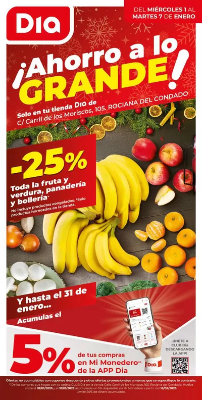 Catálogo Dia | Ahorro a lo grande del 1 al 7 de enero | 1/1/2025 - 7/1/2025