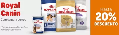 Ofertas de Hiper-Supermercados en Ariza | Hasta 20% descuento Royal Canin de Zooplus | 6/1/2025 - 19/1/2025