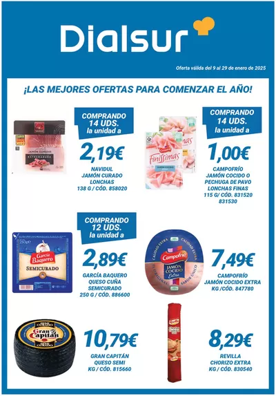 Catálogo Dialsur Cash & Carry en Xirivella | Oferta Retail | 10/1/2025 - 29/1/2025