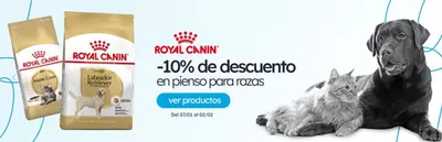 Catálogo Miscota en Madrid | -10% de descuento | 10/1/2025 - 2/2/2025