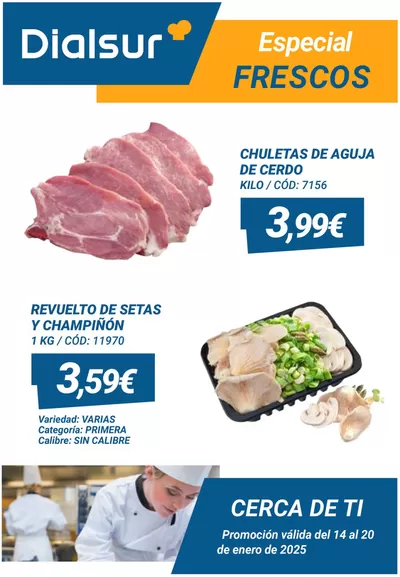 Catálogo Dialsur Cash & Carry en Xirivella | Oferta Frescos Horeca | 15/1/2025 - 20/1/2025