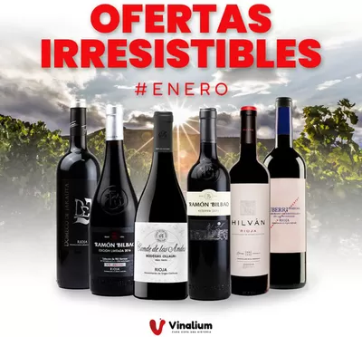 Catálogo Vinalium en Vilanova i la Geltru | Ofertas Irresistibles | 16/1/2025 - 31/1/2025