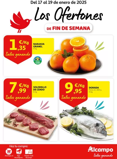 Catálogo Alcampo en Vigo | Los Ofertone DE FIN DE SEMANA | 17/1/2025 - 19/1/2025