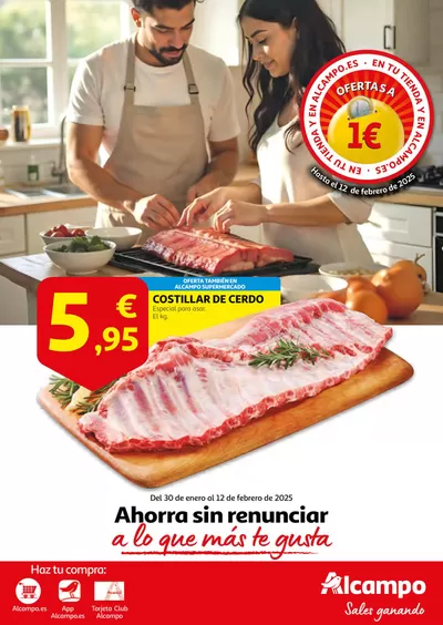 Catálogo Alcampo en Valdemoro |  Del 30 de enero al 12 de febrero de 2025 | 30/1/2025 - 12/2/2025