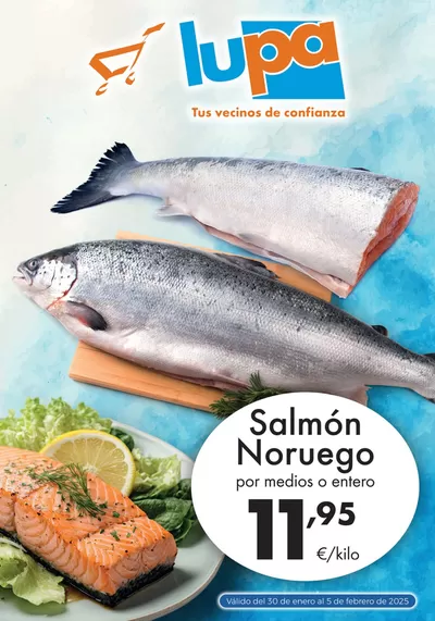 Catálogo Supermercados Lupa en Santander | Validó del 30 de enero al 5 de febrero de 2025 | 30/1/2025 - 5/2/2025