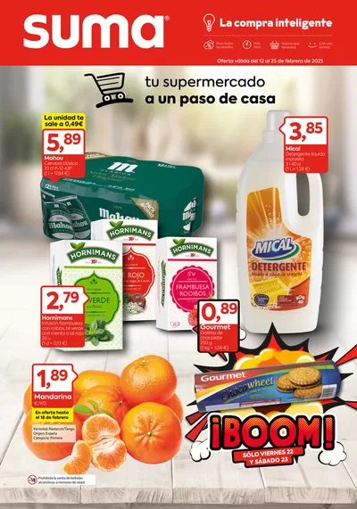 Catálogo Suma Supermercados en Seseña | Oferta válida del 12 al 25 de febrero de 2025 | 12/2/2025 - 25/2/2025