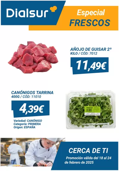 Catálogo Dialsur Cash & Carry | Promoción válida del 18 al 24 de febrero de 2025 | 18/2/2025 - 24/2/2025