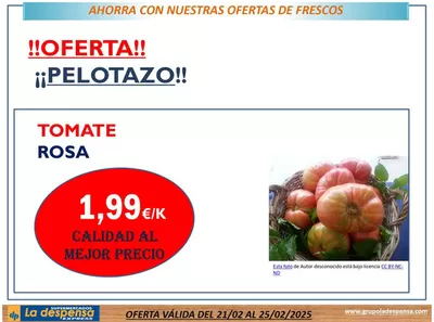 Catálogo La Despensa Express | Oferta | 21/2/2025 - 25/2/2025