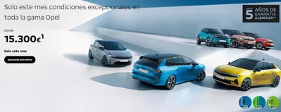 Catálogo Opel en Fuente Álamo de Murcia | Promoción  | 4/3/2025 - 31/3/2025