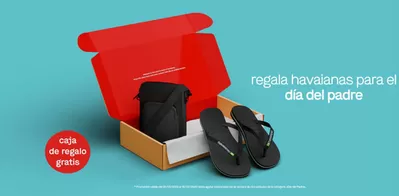 Ofertas de Ropa, Zapatos y Complementos en Ordes | Promoción välida del 05/03/2025 al 18/03/2025 de Havaianas | 5/3/2025 - 18/3/2025