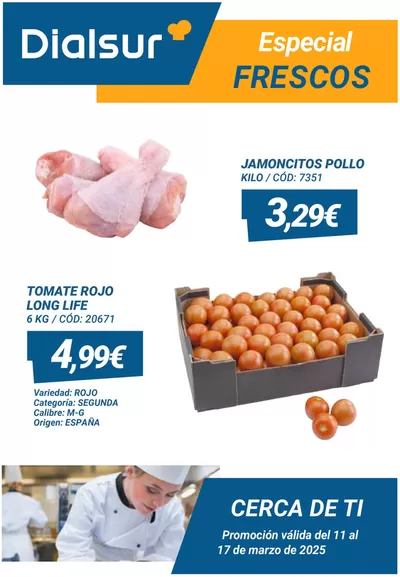 Catálogo Dialsur Cash & Carry en Agullent | Promoción válida del 11 al 17 de marzo de 2025 | 11/3/2025 - 17/3/2025