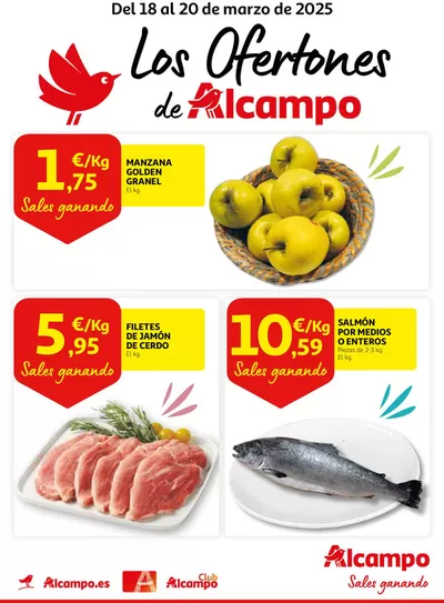 Catálogo Alcampo en Hernani | Del 18 al 20 de marzo | 18/3/2025 - 20/3/2025