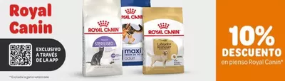 Ofertas de Hiper-Supermercados en Puigcerda | 10 % descuento en Royal Canin a través de la App de Zooplus | 20/3/2025 - 24/3/2025