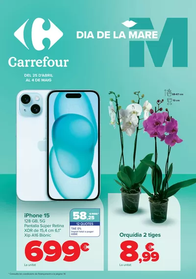 Catálogo Carrefour en Reus | DIA DE LA MADRE | 25/4/2025 - 4/5/2025