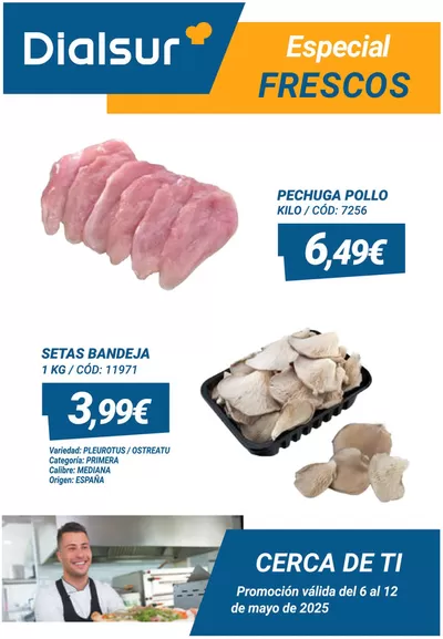 Catálogo Dialsur Cash & Carry en Torrevieja | Promoción válida del 6 al 12 de mayo de 2025 | 6/5/2025 - 12/5/2025