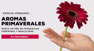 Catálogo Perfumería Prieto en Alfafar | Especial primavera | 7/5/2025 - 19/5/2025
