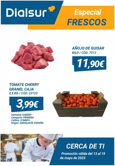 Catálogo Dialsur Cash & Carry en Cocentaina | Promoción válida del 13 al 19 de mayo de 2025 | 13/5/2025 - 19/5/2025
