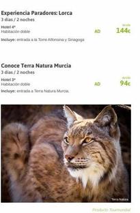 Oferta de Hoteles Torres por 144€ en Viajes El Corte Inglés