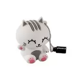 Oferta de Usb iTotal Gato 32Gb por 19,9€ en Abacus