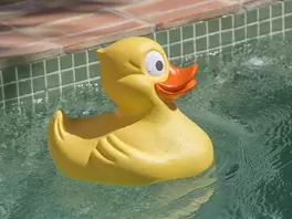 Oferta de Pato XL por 25€ en Ale-Hop
