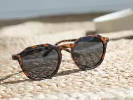 Oferta de Gafas de sol polarizadas demi mostaza por 10€ en Ale-Hop