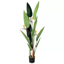 Oferta de PLANTA NORTENE AVE DEL PARAISO FLOR 2021624 185cm por 209,9€ en Ideal Bricolaje