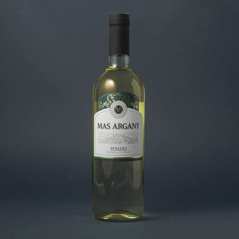 Oferta de Vi blanc Mas Argany D.O. Penedès 75cl por 3,39€ en Ametller Origen