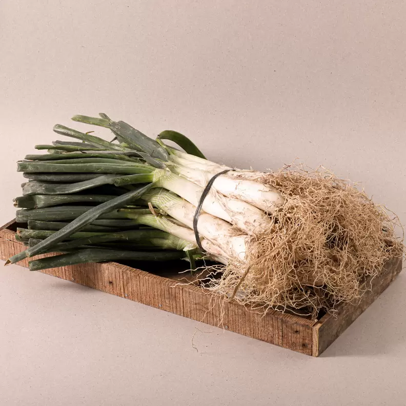 Oferta de Manat de 25 Calçots por 5,49€ en Ametller Origen